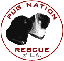 Pug Nation Rescue of Los Angeles