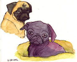 Pug Portraits
